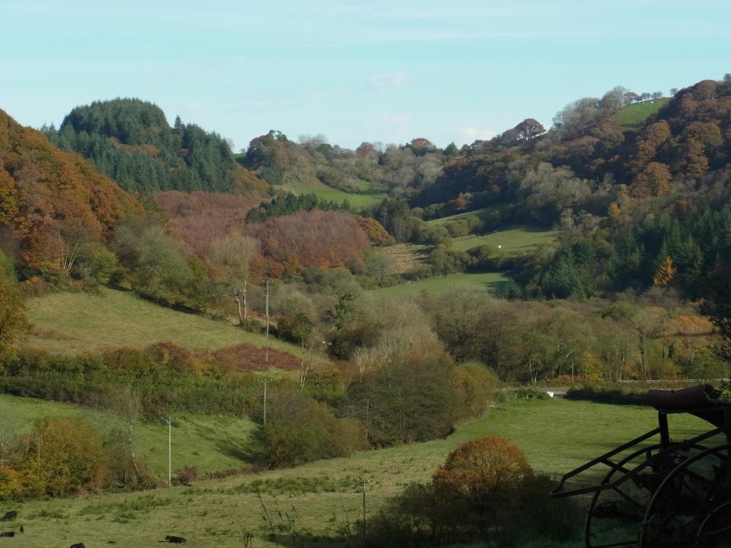 Rhiwiau Self Catering Villa Carmarthen Buitenkant foto