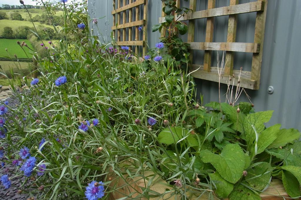 Rhiwiau Self Catering Villa Carmarthen Buitenkant foto